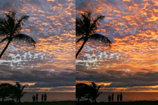 Processing for the photographer